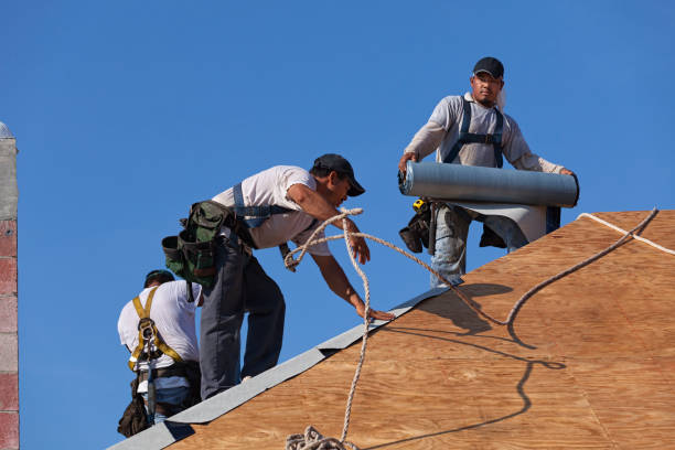 Best Roof Leak Repair  in Coaldale, PA