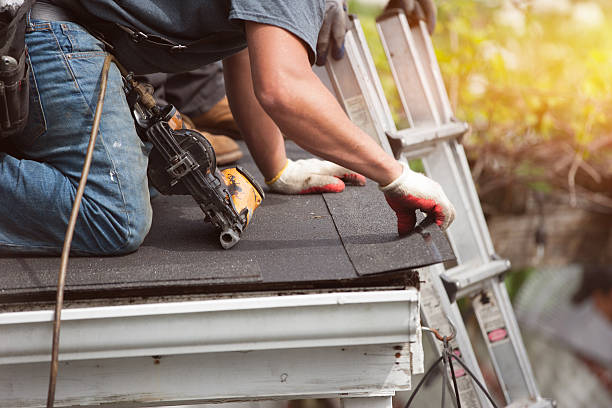 Best Storm Damage Roof Repair  in Coaldale, PA