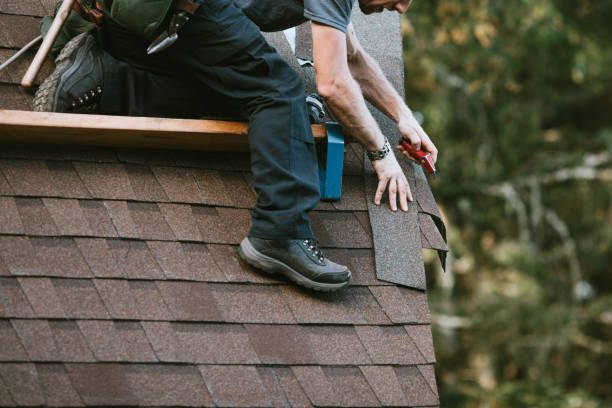 Best Shingle Roofing Installation  in Coaldale, PA