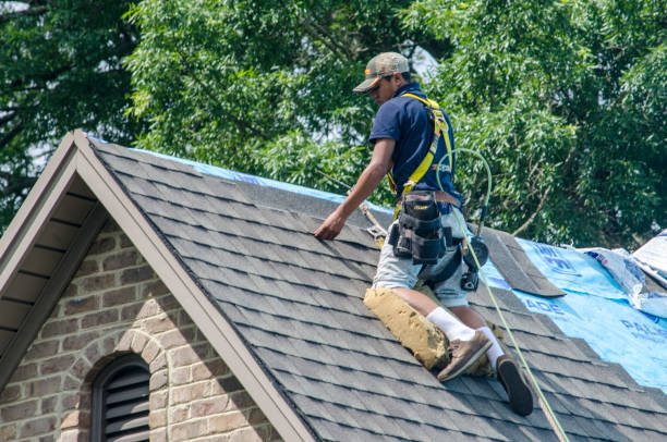 Best Storm Damage Roof Repair  in Coaldale, PA